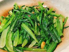 砂锅油麦菜-撒椒·四川江湖菜(大族广场店)