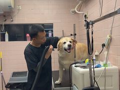 -FAELING PETS美天灵宠物(富力广场店)