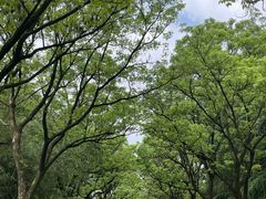 -白塘生态植物园