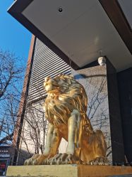 -中国黄金(北京旗舰店)