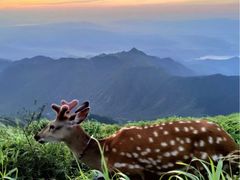 -萍乡武功山风景名胜区