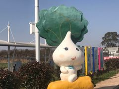 -上海都市菜园