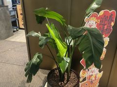 -滇铺子·云南特色菜·第九届野生菌美食节(东风东路c86店)