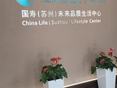 -国寿嘉园·苏州雅境
