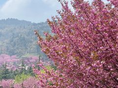 -石岛赤山风景区