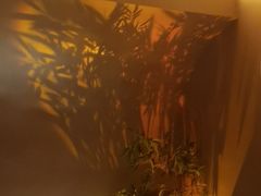 -宁采臣Sleep·采耳·SPA放松馆(湖里万达店)