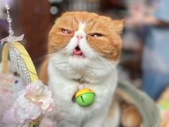 -南锣鼓巷