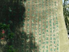 -南汇桃花村