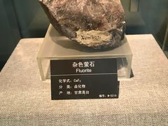 -甘肃地质博物馆