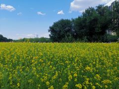 -长白岛森林公园