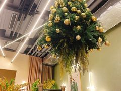 -PlantsEatery·植物食堂(REX春熙店)