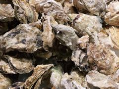 -星伦多海鲜自助餐厅(海陵金鹰店)