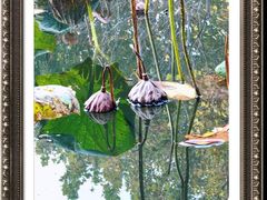 -郑东新区湿地公园