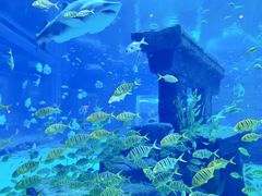 -爱伲PLUS·牛肉海鲜自助火锅(融创店)