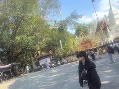 -西双版纳傣族园