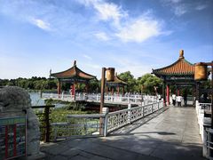 -长春市南湖公园