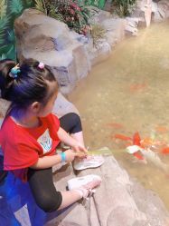 点击看大图 -宝燕乐园(闵行旗舰店)