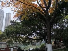 -成都市活水公园