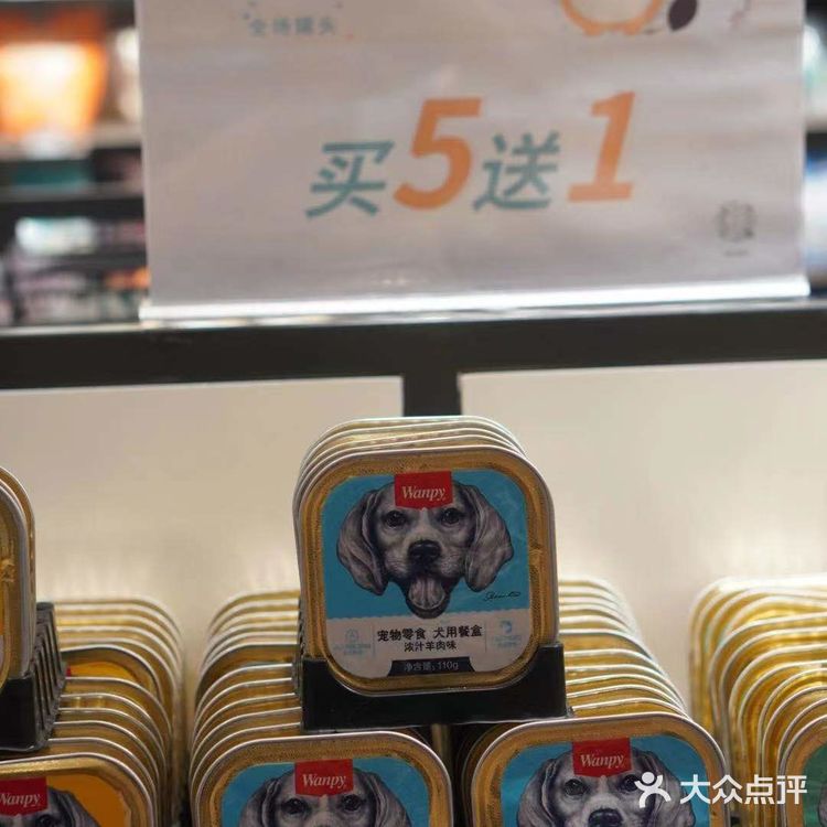 铲屎官快来报道❗❗