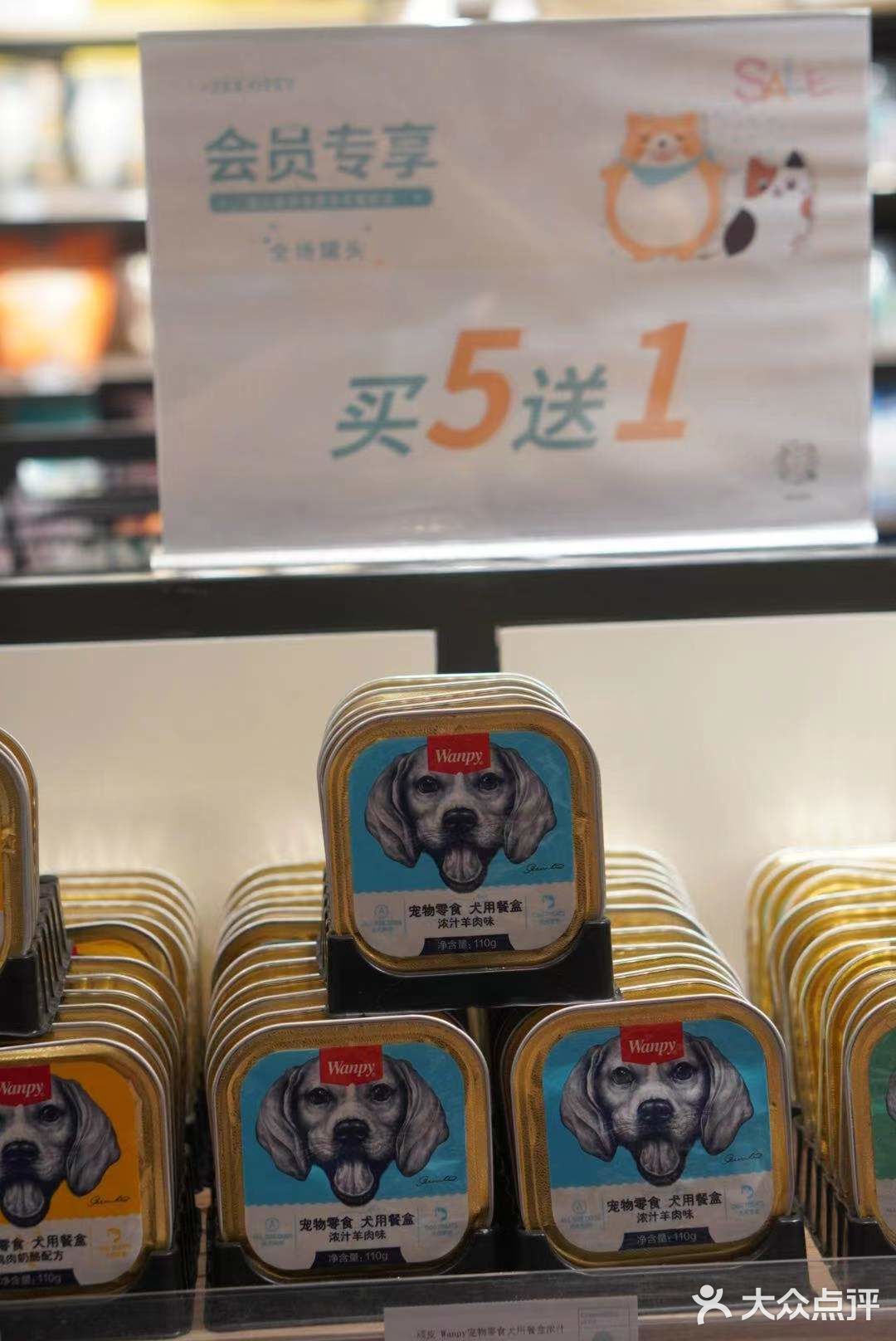铲屎官快来报道❗❗