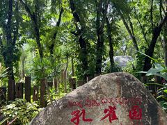 -西双版纳傣族园