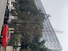 -成都市妇女儿童中心医院(中心院区)
