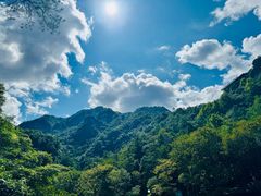 -龙湾潭国家森林公园