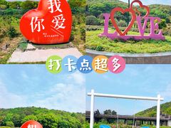 -龙寺生态园