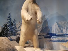 -陕西自然博物馆