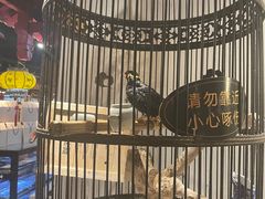 -清真·京华源铜锅涮肉(丰庆店)