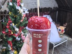 -大象厨房(重庆道店)