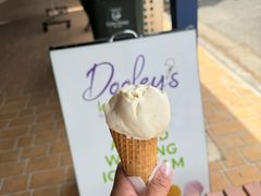 -Dooley's Premium Ice Cream