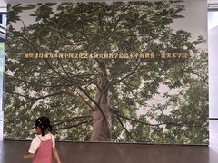 -中国美术学院-美术馆