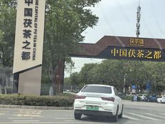 -茯茶镇