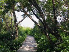 -白草畔自然风景区