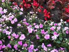 -长春公园(普阳街道)