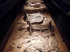 -北京大葆台遗址博物馆