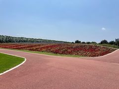 -迪茵湖田家舍生态农场