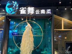 -雀舞云南菜(乐客城店)