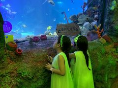 -沈阳海洋探索中心