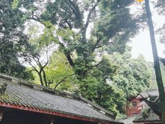 -凤栖山