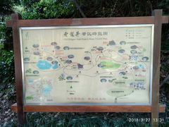 -十八棵（老龙井）御茶园(老龙井店)