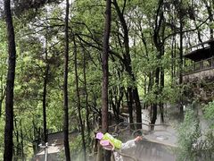 -巴倒烫陆派火锅山庄(南山总店)