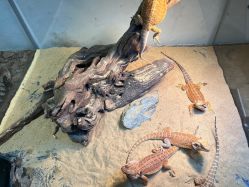 -Zoolung Zoolung动物主题公园(海信广场店)