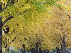 -北京植物园-展览温室