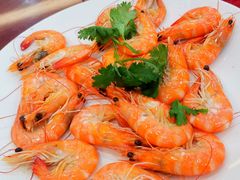白灼海中虾-旺富东海大酒楼(海鲜街店)