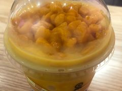 -果呀呀(国金街店)