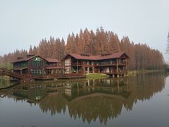 -黄海国家森林公园