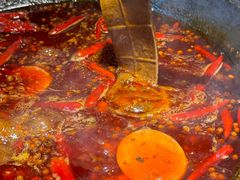 -阳阳老火锅(小南门店)