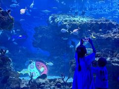 -海合安成都极地海洋公园